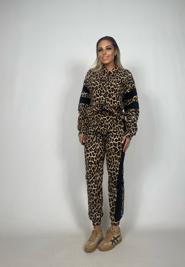Coordinato Leopard